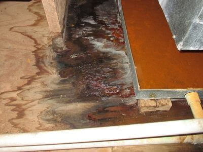 About Water Damage Pros - water damage repair myrtle beach sc experts in Myrtle Beach